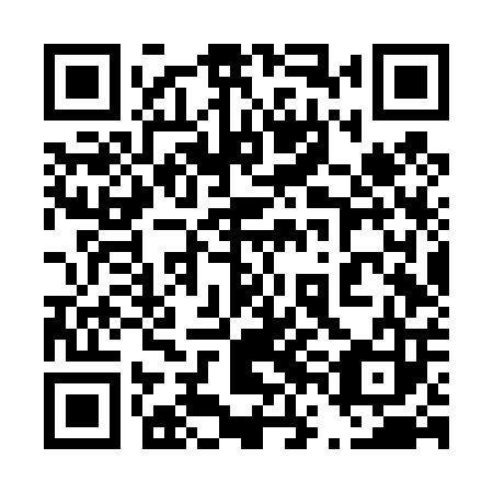 QR code for plate 46F T03
