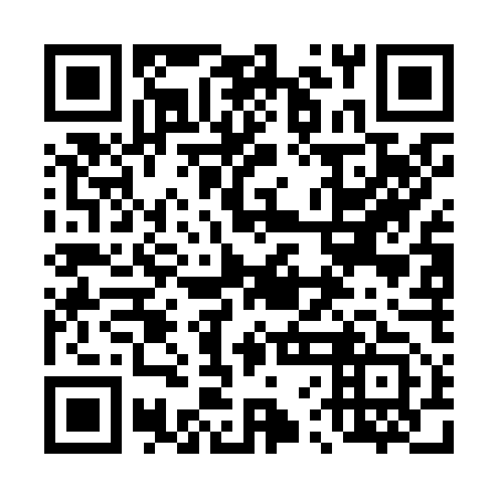 QR code for plate 46G K53