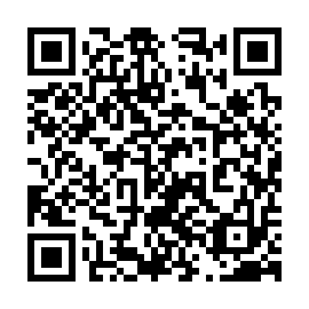 QR code for 46I313