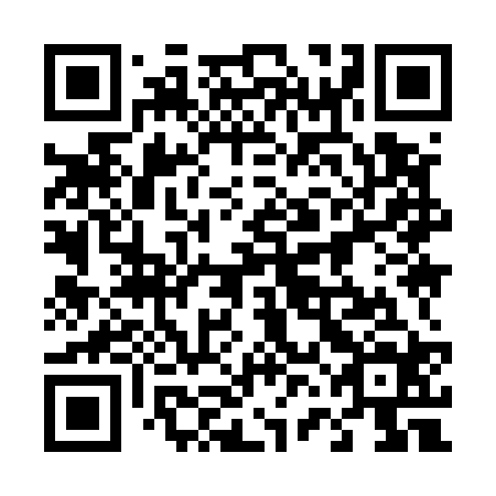 QR code for plate 46I 524
