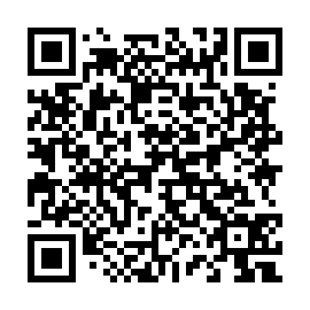 QR code for plate 46I 534