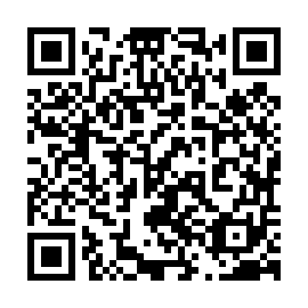 QR code for plate 46J 451