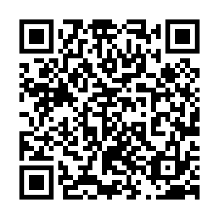 QR code for plate 46L 033