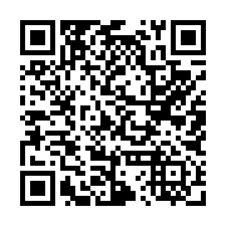 QR code for plate 46M 491