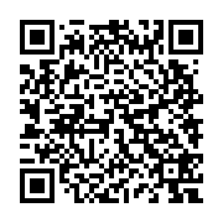 QR code for 46N 728