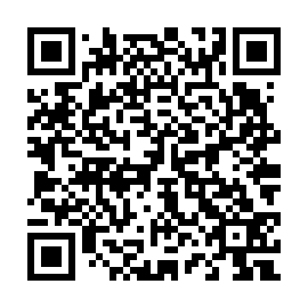 QR code for 46N V33