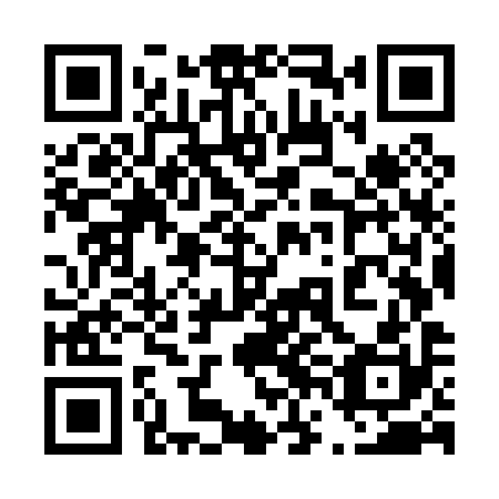 QR code for 46O P90