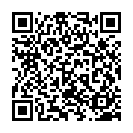 QR code for plate 46O I20
