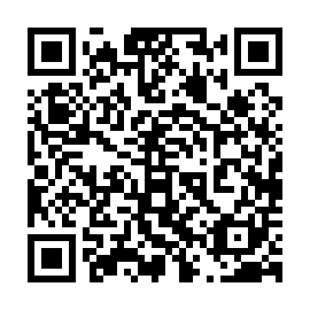 QR code for 46P 101