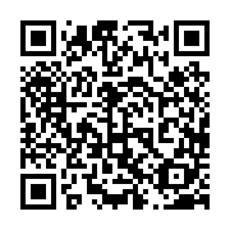 QR code for 46P 248