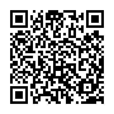 QR code for 46P V95