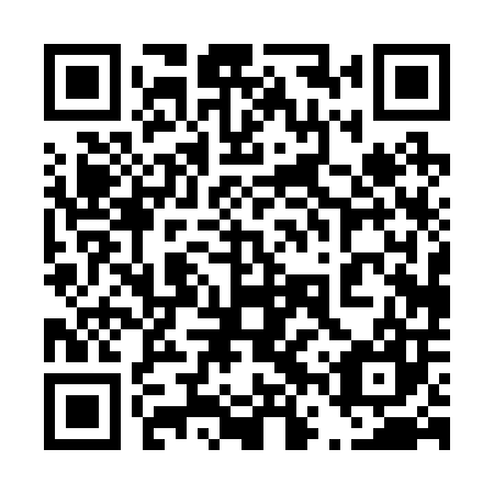 QR code for 46P207