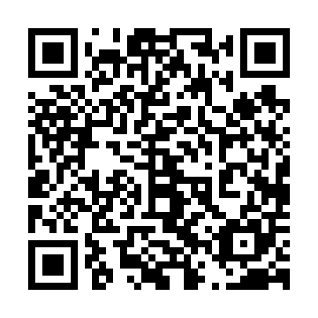 QR code for 46P605