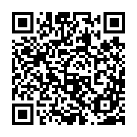 QR code for plate 46P 647