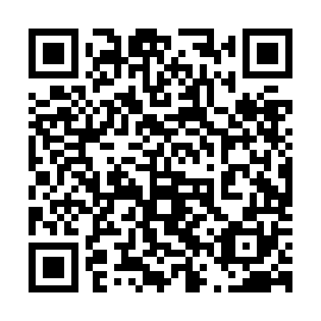 QR code for plate 46P JO0