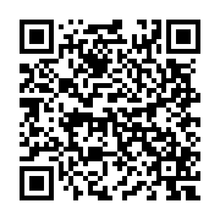 QR code for plate 46P O05