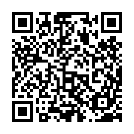 QR code for plate 46P TE7