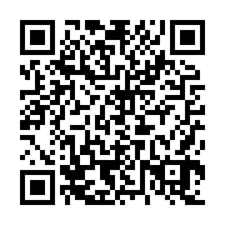 QR code for plate 46P XV2