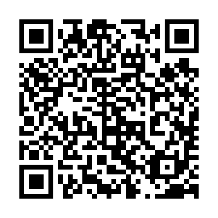 QR code for plate 46R 691