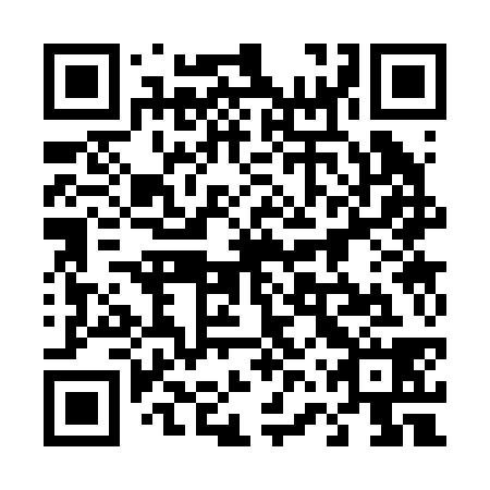 QR code for plate 46S 238