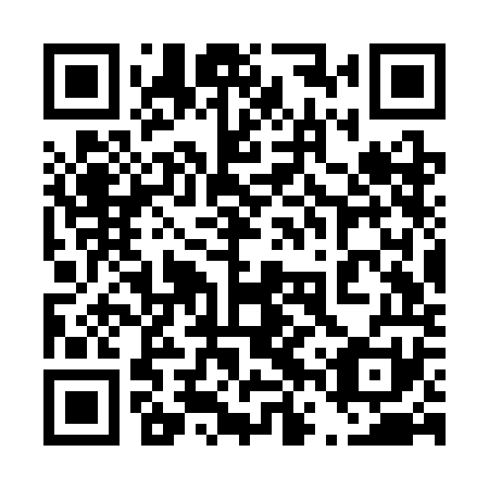 QR code for plate 46S SO1
