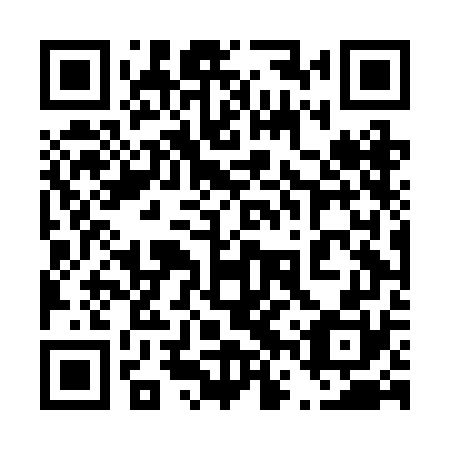 QR code for plate 46T BG0