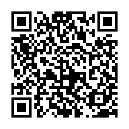 QR code for plate 46T JX1