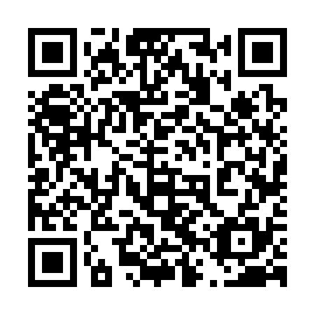 QR code for 46V 335