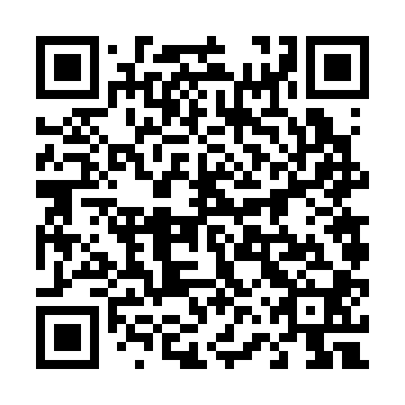 QR code for plate 46V 300