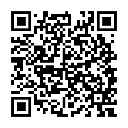 QR code for plate 46V 395