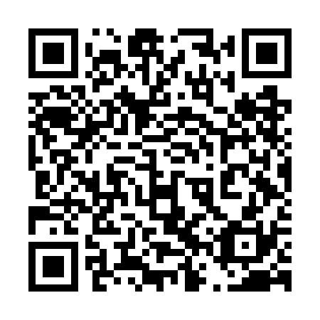 QR code for plate 46V GC0