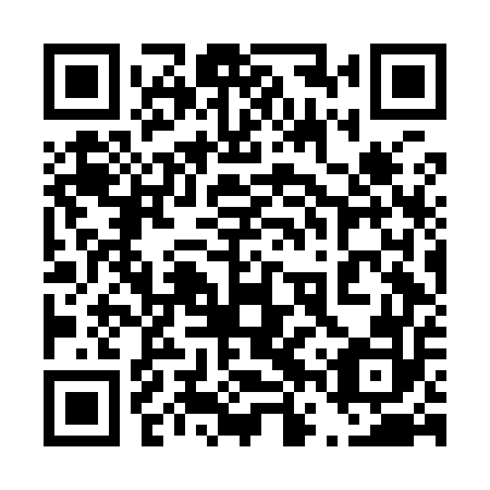 QR code for plate 46V I52