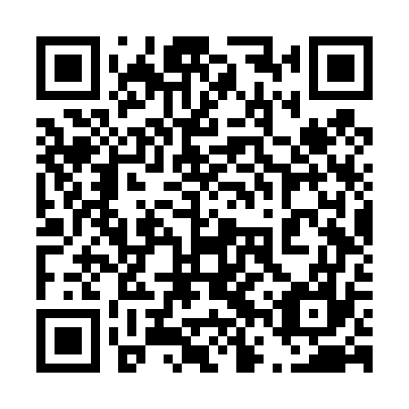 QR code for plate 46V T77