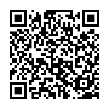 QR code for plate 46W 551