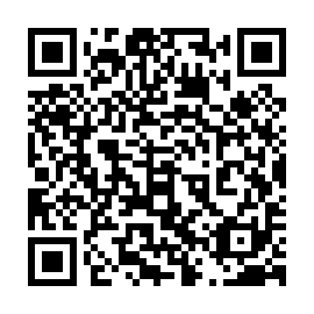 QR code for plate 46W P91