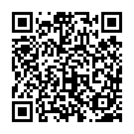 QR code for 46X641