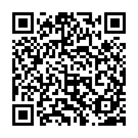QR code for plate 46X H81