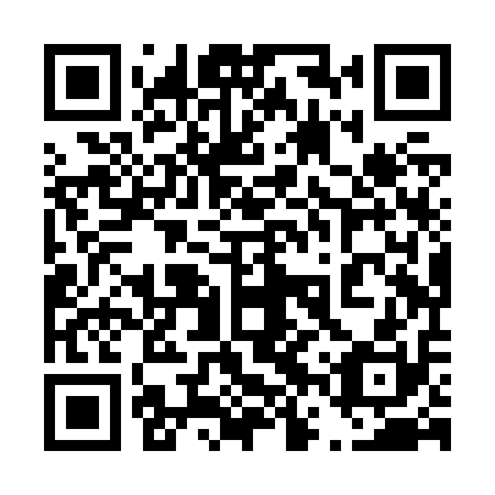 QR code for plate 46X Z10