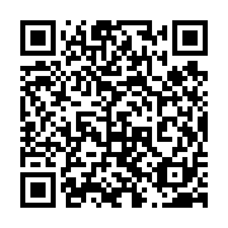 QR code for 46Y V11