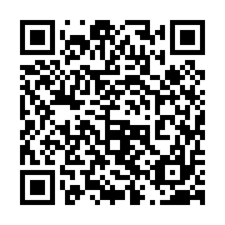 QR code for plate 46Y 017