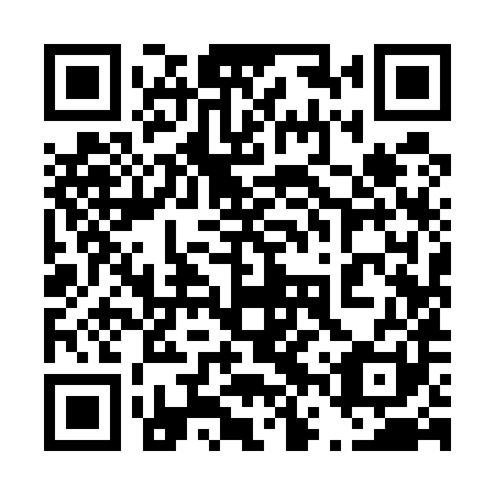 QR code for plate 46Y 581