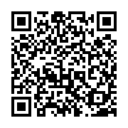 QR code for plate 46Y 599
