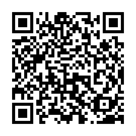 QR code for plate 46Y S38