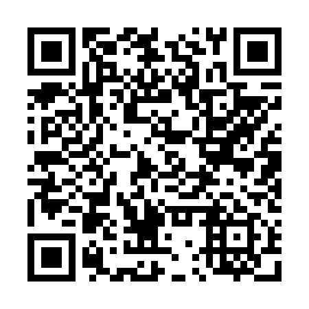 QR code for plate 47Q 619