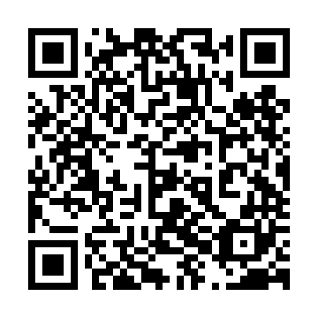 QR code for plate 48B DN0