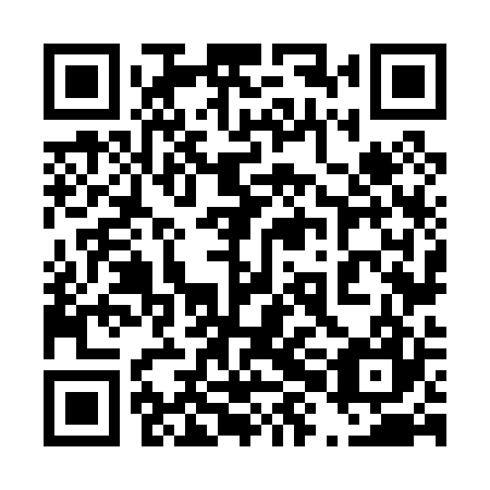 QR code for plate 48N 027