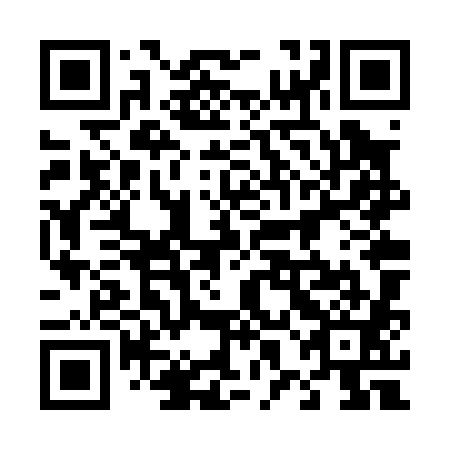 QR code for plate 48N P81