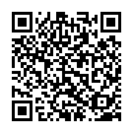 QR code for plate 48V 739