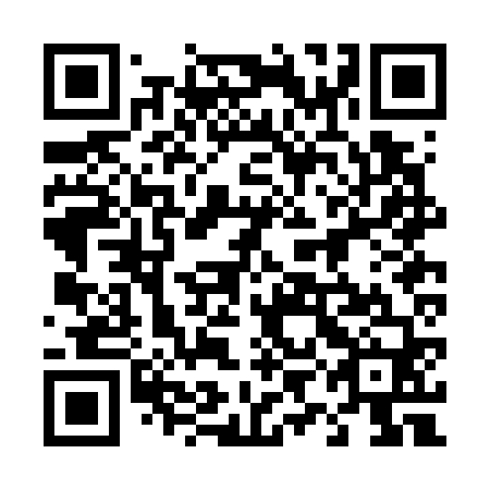 QR code for plate 49B G60