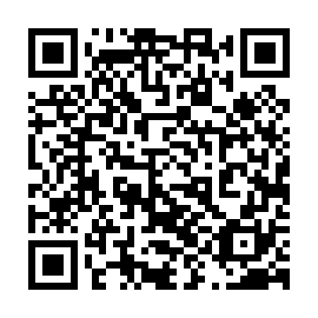 QR code for plate 49D 070